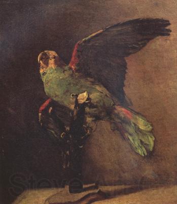 Vincent Van Gogh The Green Parrot (nn04) Norge oil painting art